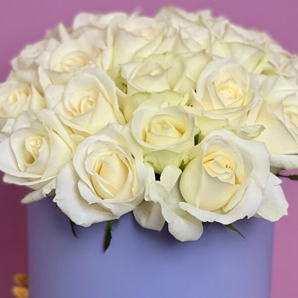 Белые розы в шляпной коробке S