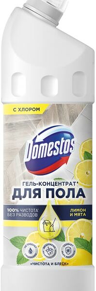 Средство чистящее Domestos Чистота и Блеск для мытья пола и других поверхностей Лимон и мята 1л
