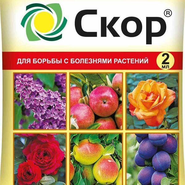 Средство от болезней растений Ваше Хозяйство Скор