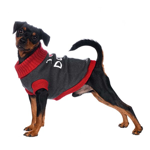 Свитер для собак Daddy 55см 4XL серый (унисекс)