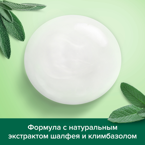 

Шампунь для волос Palmolive Men против перхоти с экстрактом шалфея 450 мл