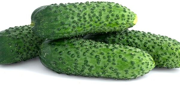 Огурцы корнишоны короткоплодные упаковка 300 г