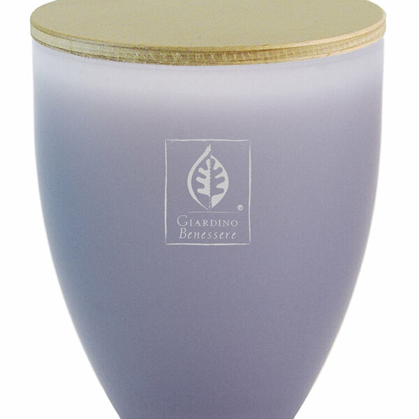 GIARDINO BENESSERE Green Tea Свеча в сиреневом стекле, 255 г