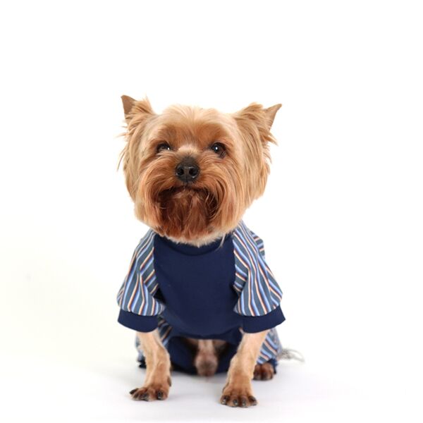 Комбинезон для собак Пикник S синий (мальчик)