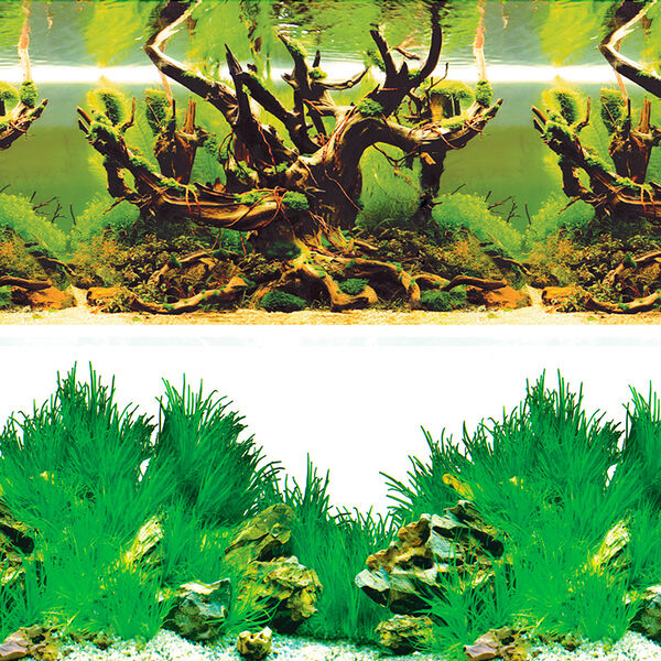 Фон для аквариума Laguna Таинственный лес/Новое утро 50х100 см