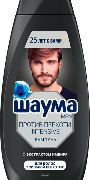 Шампунь для волос Шаума Против Перхоти Intensive мужской 360мл