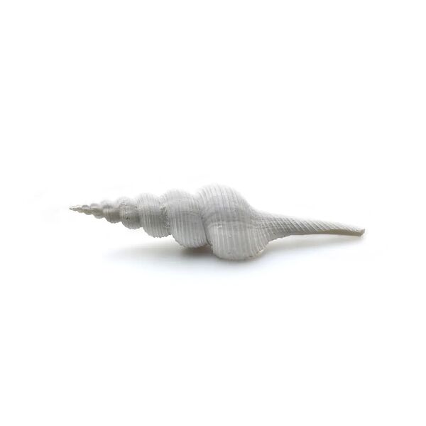 Декорация пластиковая для аквариума Ракушка спиральная большая, 11,5х2,5х2,5 см