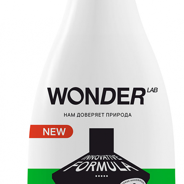 Универсальное экосредство для уборки на кухне Wonder Lab 550 мл