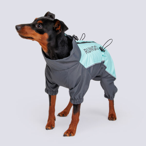 Дождевик с мембраной и резиновой молнией для кроличьей таксы, L, 34х28х50 см, голубой горизонт (мальчик)