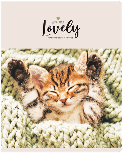 

Тетрадь ARTSPACE Питомцы Lovely Cat, А5, 48 листов, в клетку