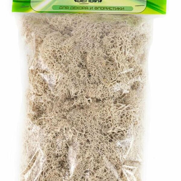 Мох Азалия Декор Ягель белый