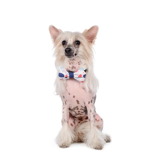 Галстук-бант белый с пятнами 10*6см