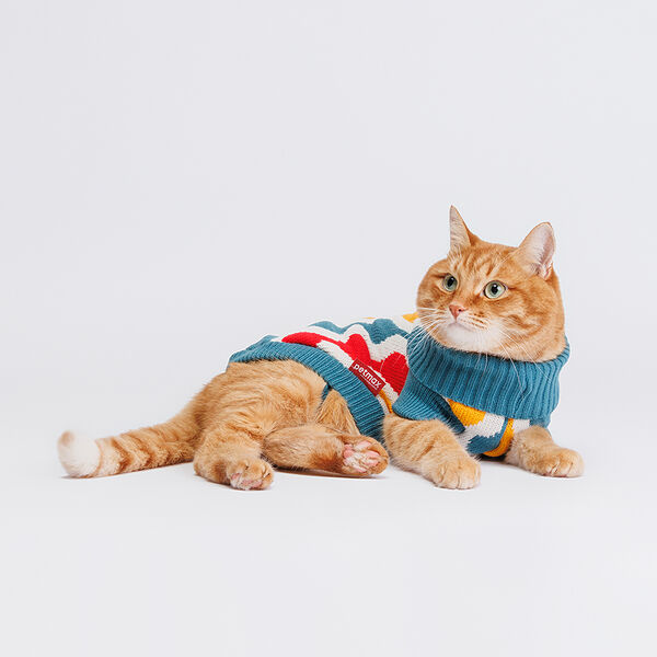 Свитер для кошек и собак, 25 см, светлый с узором