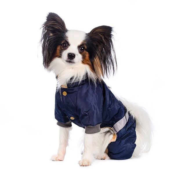 Комбинезон с поясом для собак 3XL синий (унисекс)