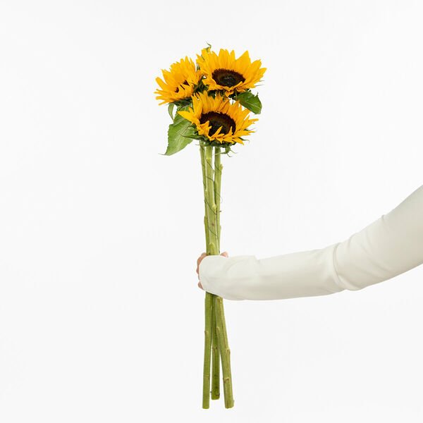 Подсолнухи