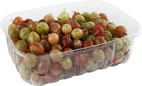 

Крыжовник садовый свежий