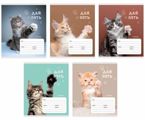 Тетрадь Listoff Дай пять! А5 линейка, 24 л  в ассортименте, 1 шт