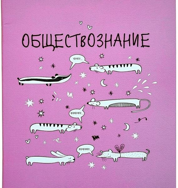 Тетрадь общая Be Smart Feed us Обществознание 165*203мм клетка 48л