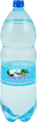 

Вода минеральная Тюменская лечебно-столовая газированная 2 л