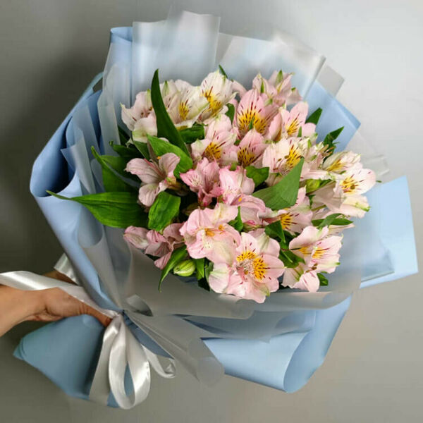 Альстромерии