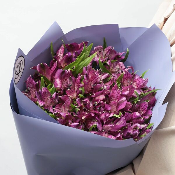 Букет из 15 альстромерия в фиолетовых тонах в сиреневой пленке