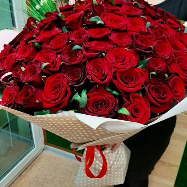 101 бордовая роза