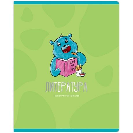Тетрадь предметная Meshu Литература, 48 л