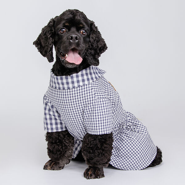 Petmax Платье-рубашка синее в клетку 3XL