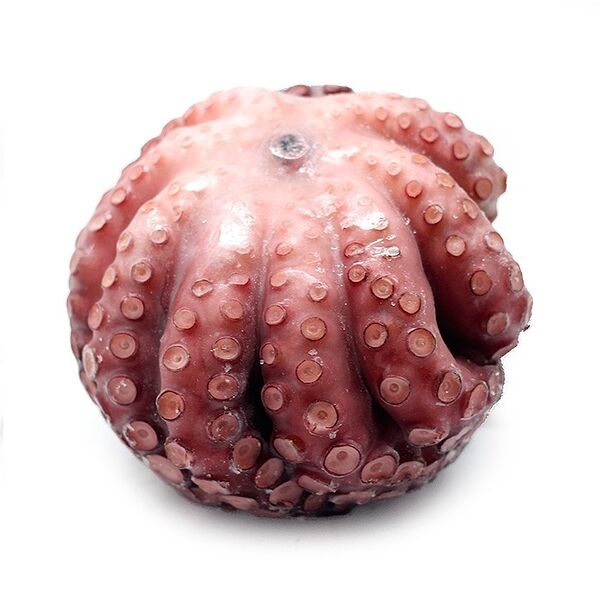 Осьминог с/м