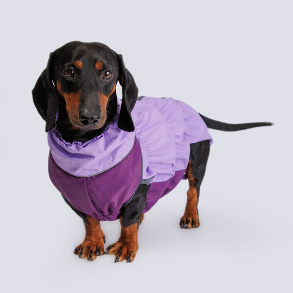 Жилетка с мембраной и подкладкой для собак, длина спины 38 см, орхидея (девочка)