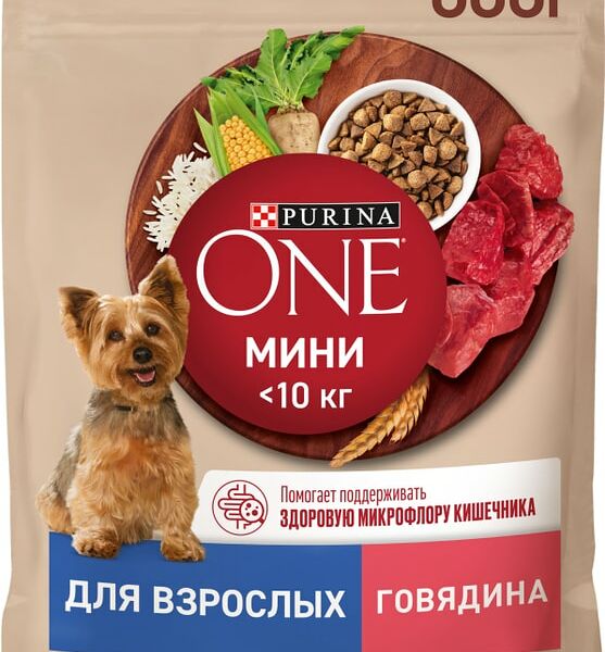 Сухой корм для собак Purina ONE для мелких пород с активным образом жизни с говядиной и рисом 600г