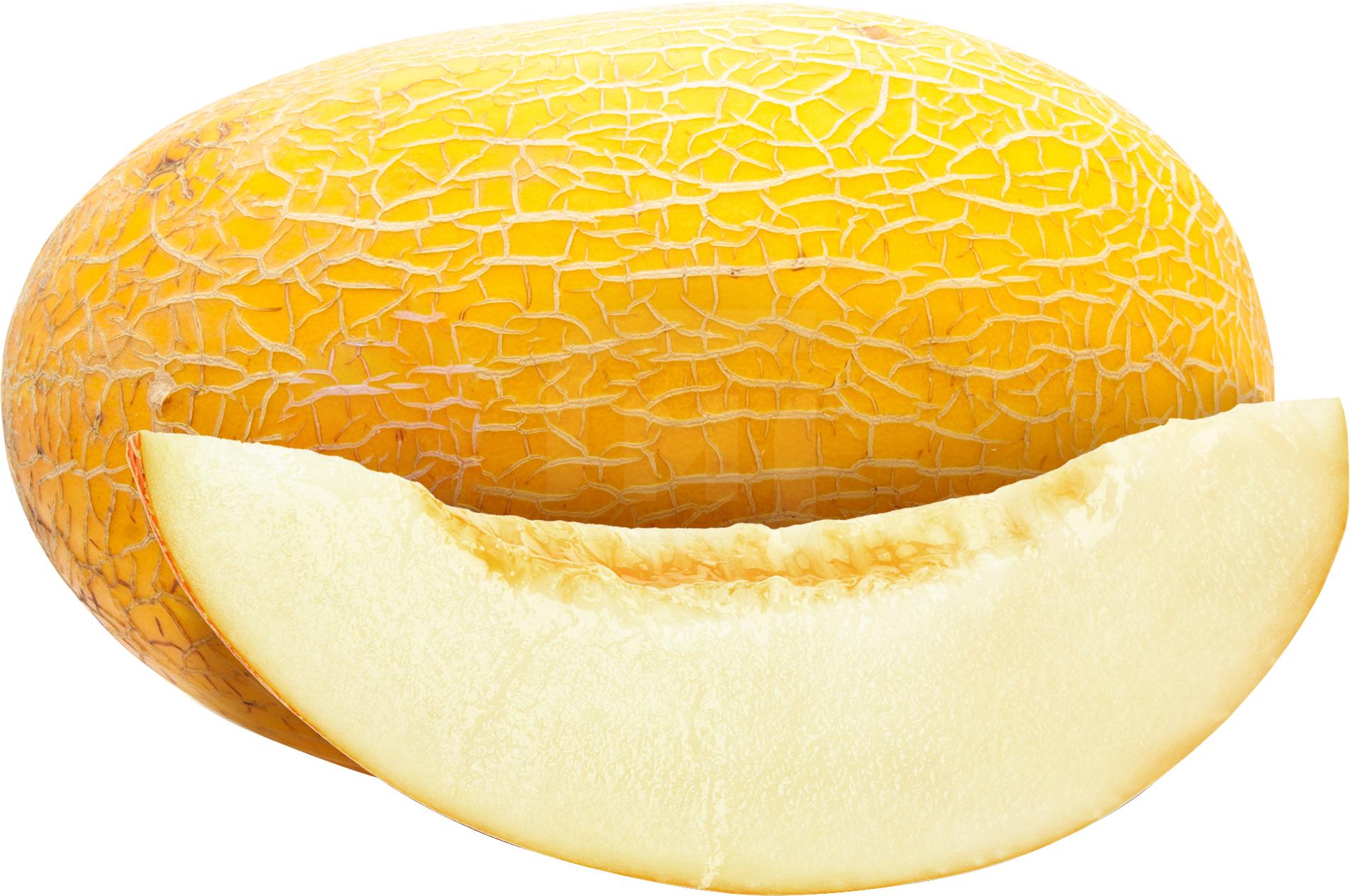 Дыня картинка для детей на прозрачном фоне