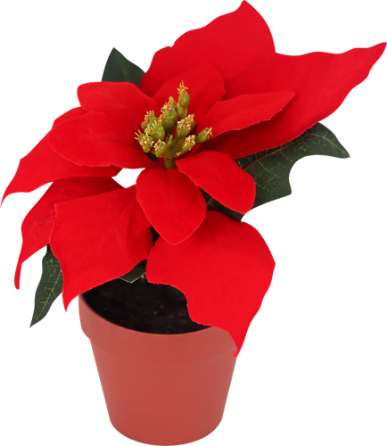 

Пуансеттия искусственная Homeclub 16 см в пластиковом горшке арт. 9910960