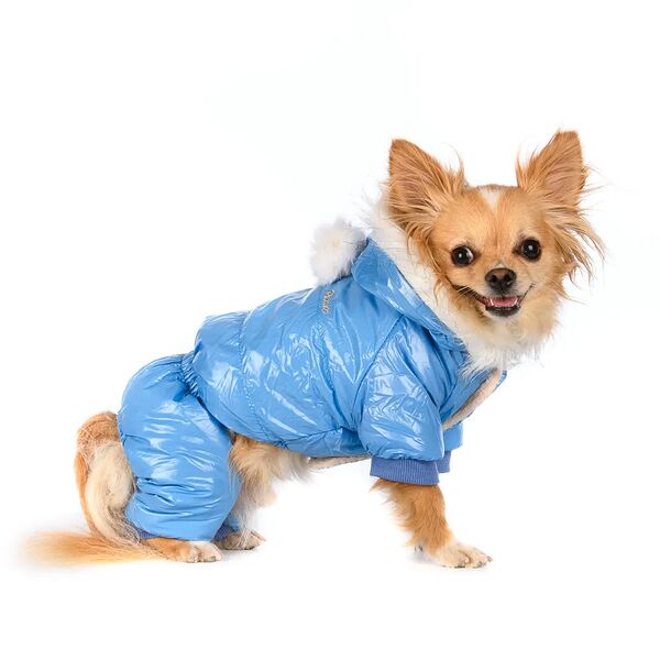 Комбинезон с капюшоном для собак S голубой (унисекс)