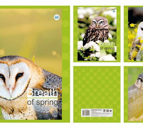 Тетрадь общая клетка 48л серия Мир птиц