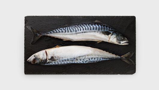 Скумбрия 300/600 замороженная