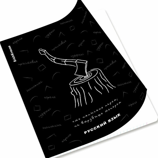 Тетрадь предметная Erich Krause Русский язык 48 листов