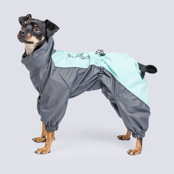 Дождевик для собак пород вестхайл и джек рассел, 40x63x35 см, голубой горизонт (мальчик)