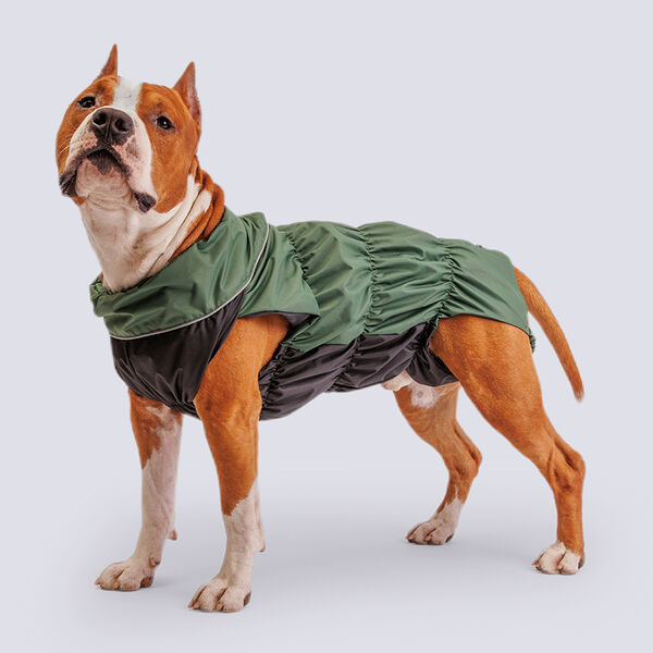 Жилетка Rungo с мембраной и подкладкой для собак, длина спины 42 см, авокадо (мальчик)