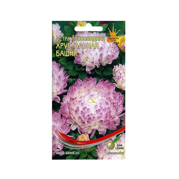 Семена Астра пионовидная Хрустальная Башня