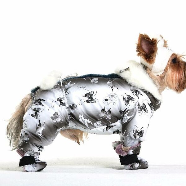 Комбинезон Yoriki для собак Бабочки S (мальчик)