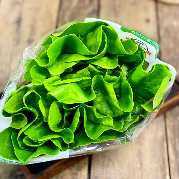 Салат Латук