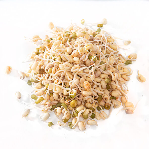 Проростки маша