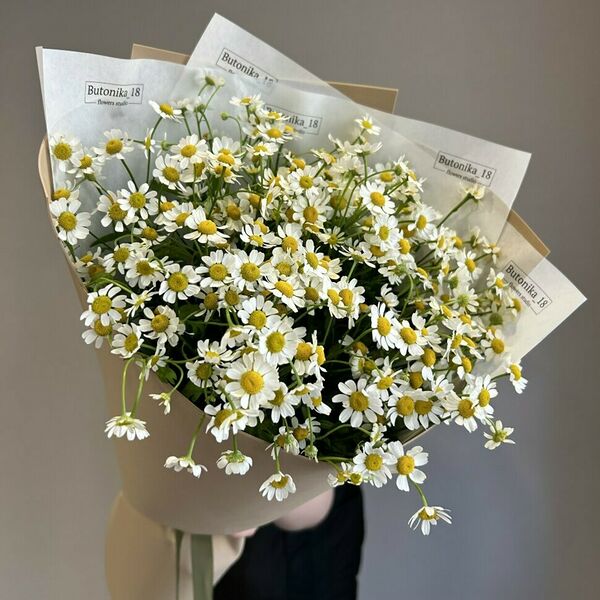 Букет из 11 кустовых ромашек