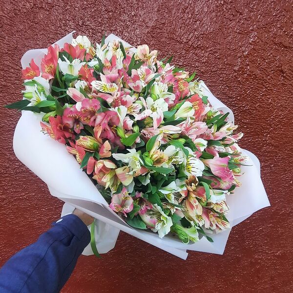 Букет 51 альстромерия