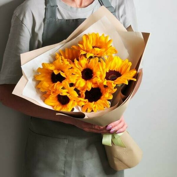 Солнечный день