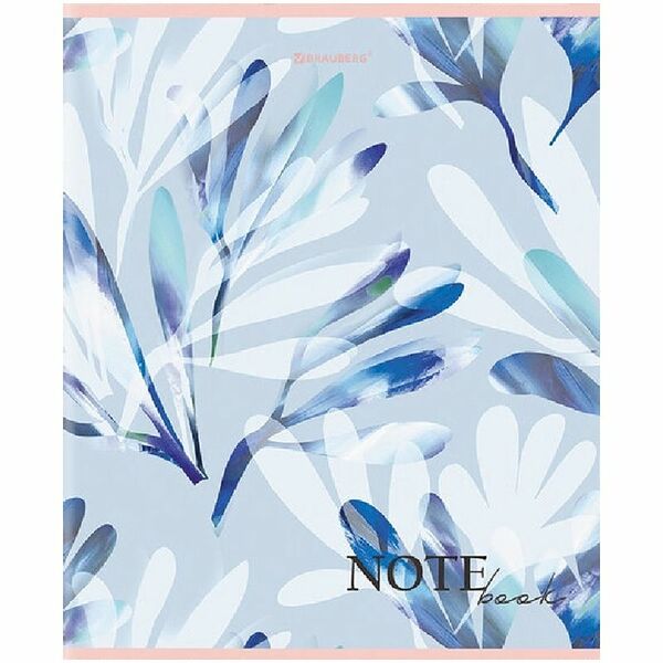 Тетрадь Brauberg общая клетка А5, 96л в ассортименте