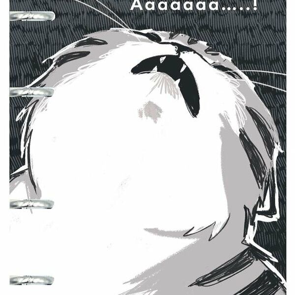 Тетрадь на кольцах Listoff Монохромные котики A5 клетка, 100 л