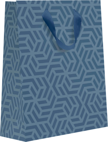 

Пакет подарочный Diplomat, 22,7х18х10см, размер M