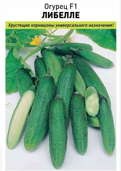Семена Русский огород Огурец F1 Либелле
